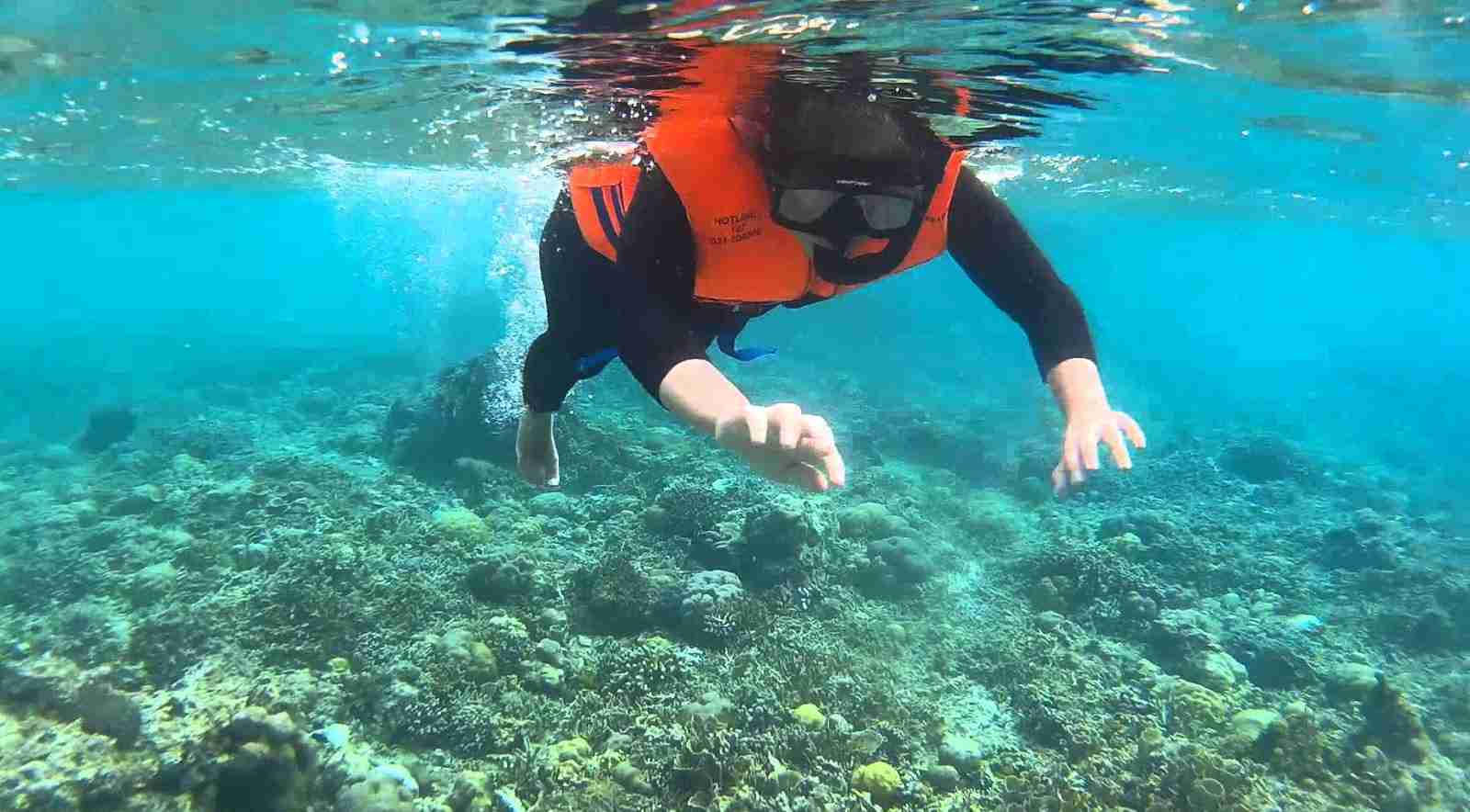 bangsring underwater bangsring underwater